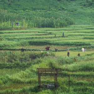 Làng Dong Iar Jieng