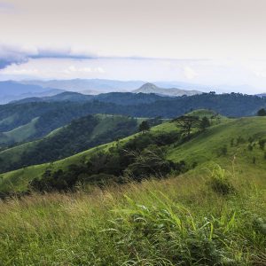 Tà Năng - Phan Dũng