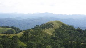 Tà Năng - Phan Dũng