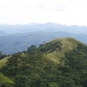 Tà Năng - Phan Dũng