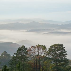Lam Dong