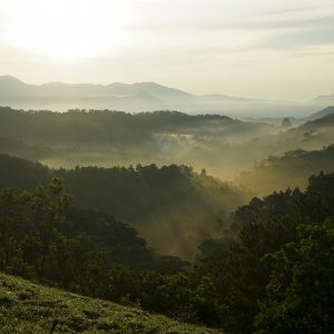 Ta Nang Phan Dung