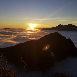 Bach Moc Luong Tu