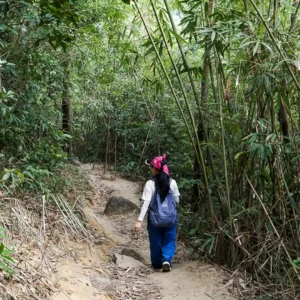 Hiking Mount Dinh