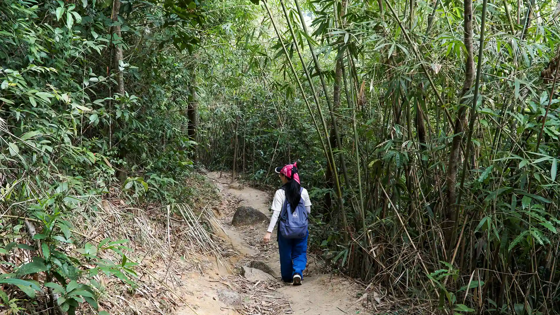 nui dinh ho coc 11 Hiking Mount Dinh
