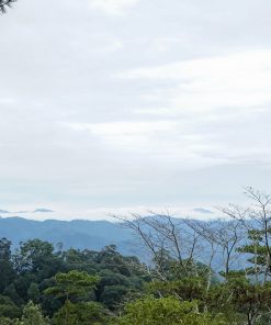 Làng Dong Iar Jieng
