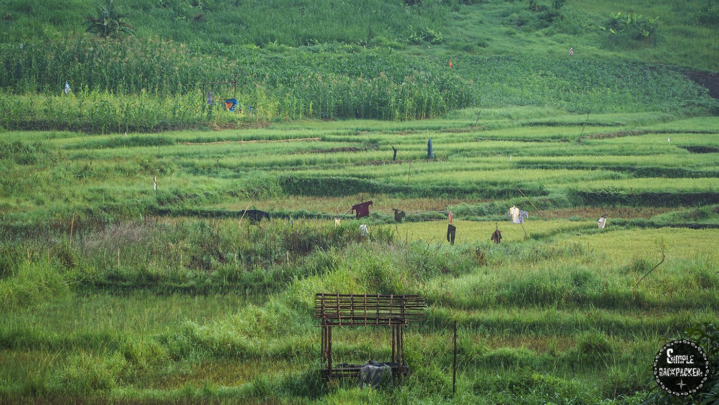 Làng bí mật
