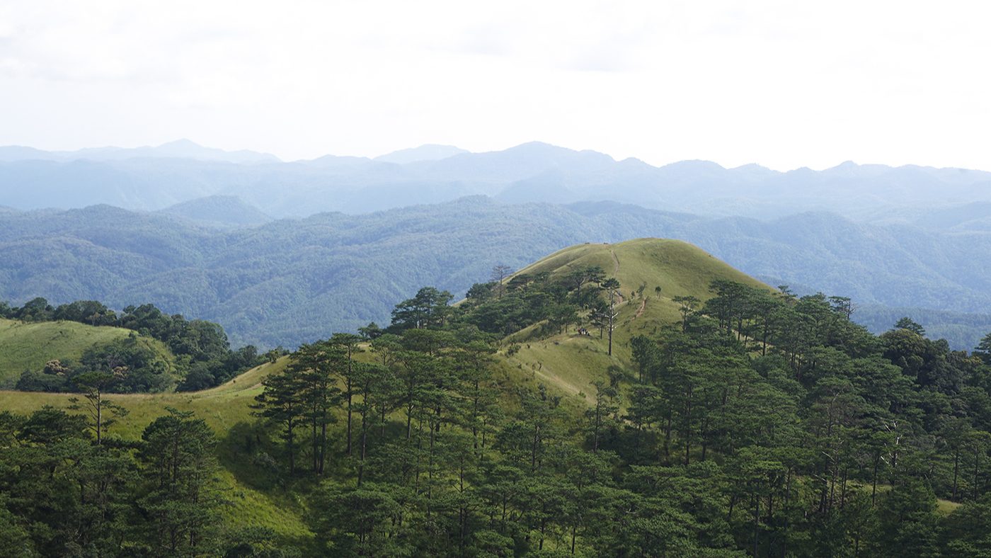 Tà Năng - Phan Dũng