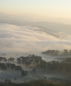 đường sắt răng cưa