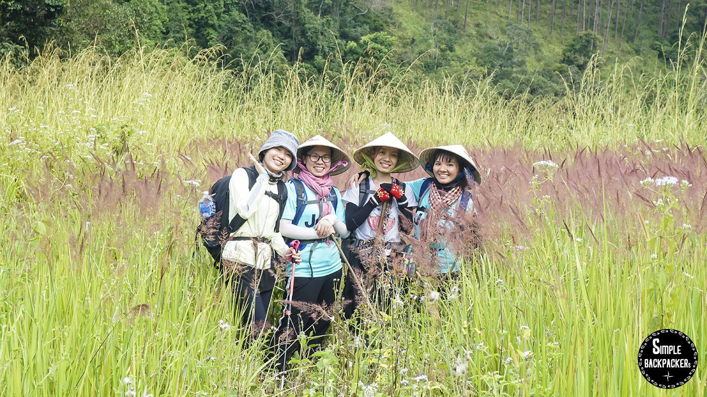 liệu pháp tắm rừng