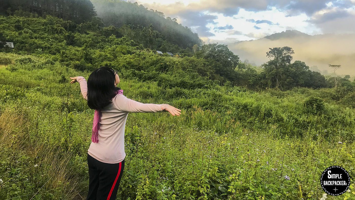 liệu pháp tắm rừng