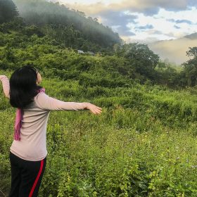 liệu pháp tắm rừng