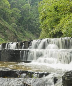 phi lieng