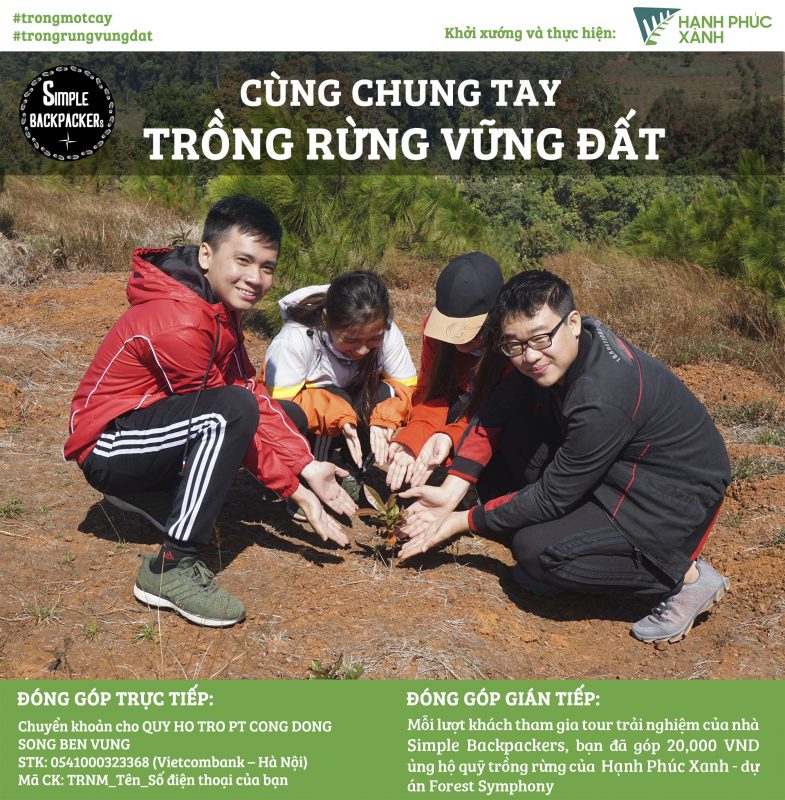 trong rung vung dat