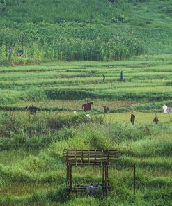 Làng cổ Đưng Iar Giêng: Lâm Đồng