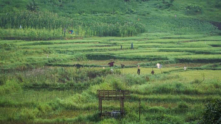Làng cổ Đưng Iar Giêng: Lâm Đồng