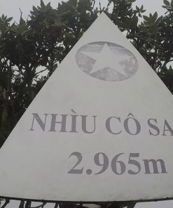 nhìu cồ san