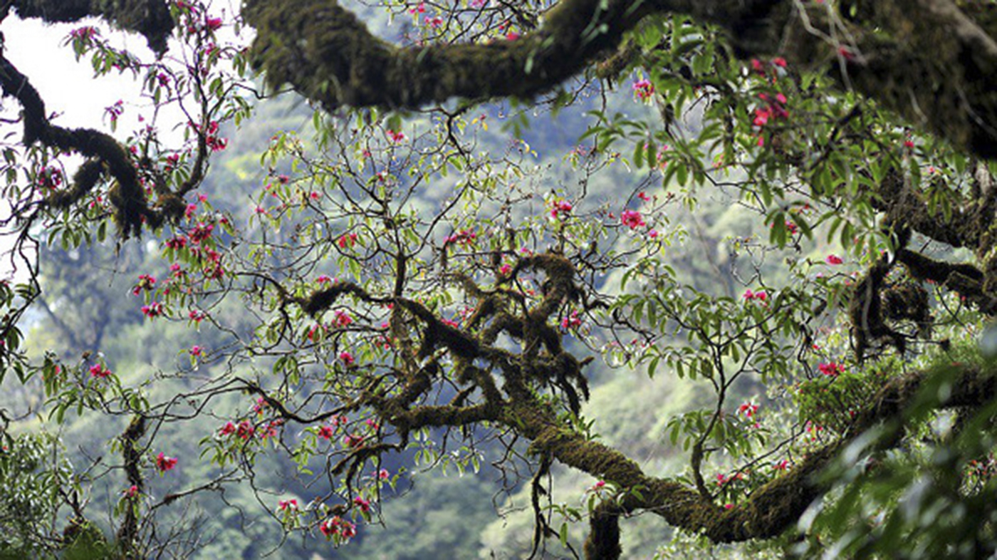 putaleng02 putaleng