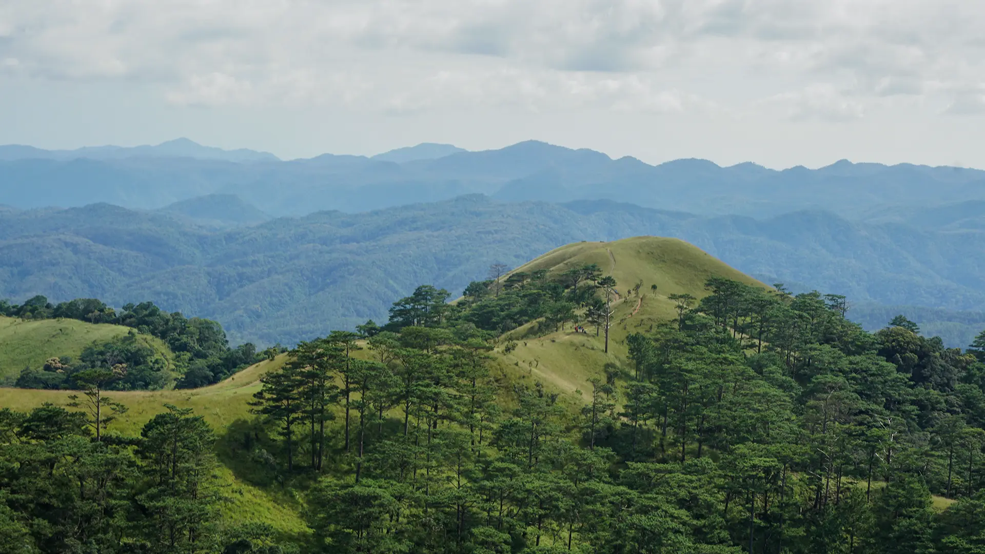 trekking Tà Năng Phan Dũng