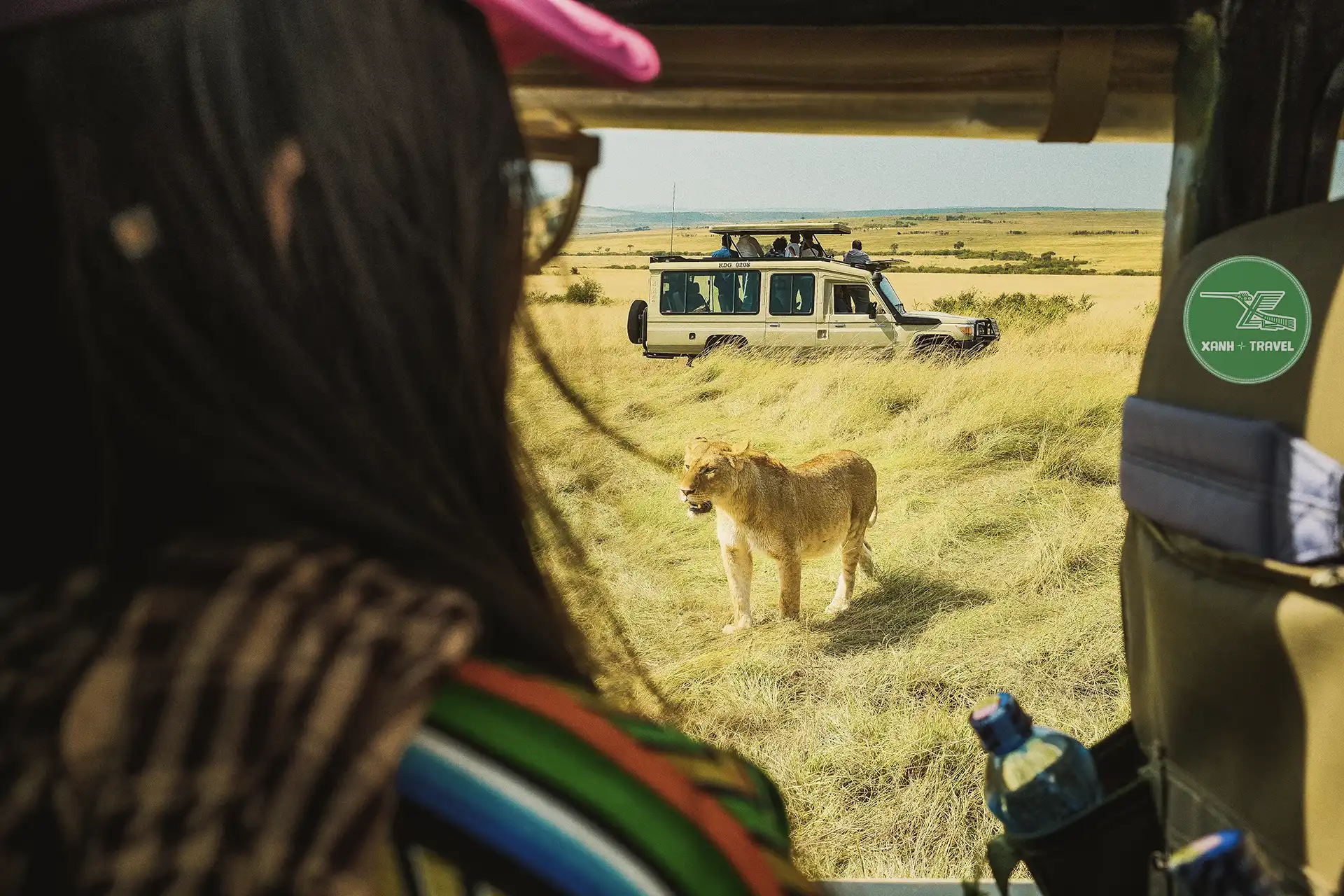 tour safari